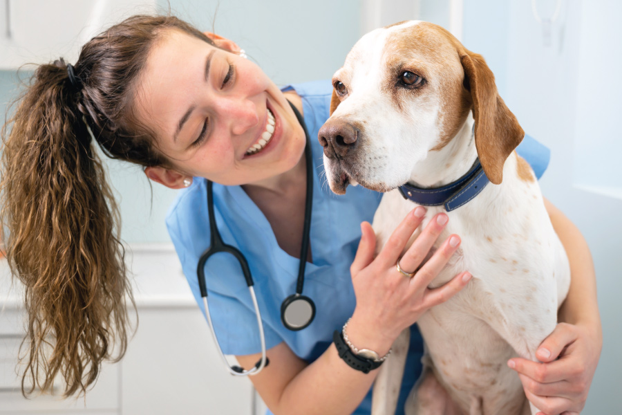 Veterinary Assistant Program